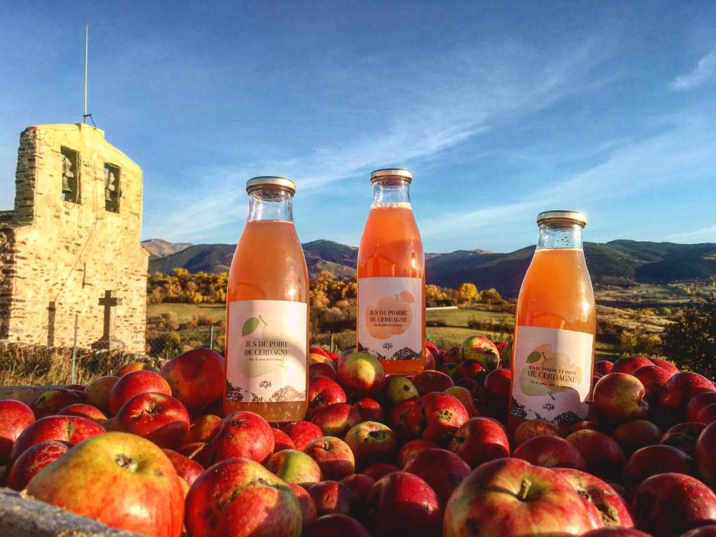 three bottles of apple juice sitting on a pile of apples at Domaine Agricole Cotzé &#47; Casa rural in Enveitg