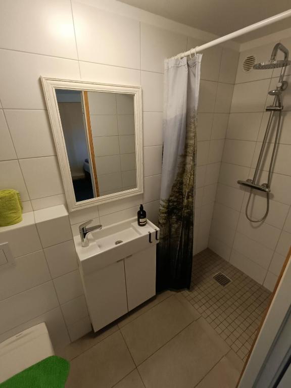 Koupelna v ubytování Arsalir Guesthouse Vik B&B