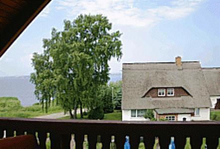 Příroda nedaleko penzionu