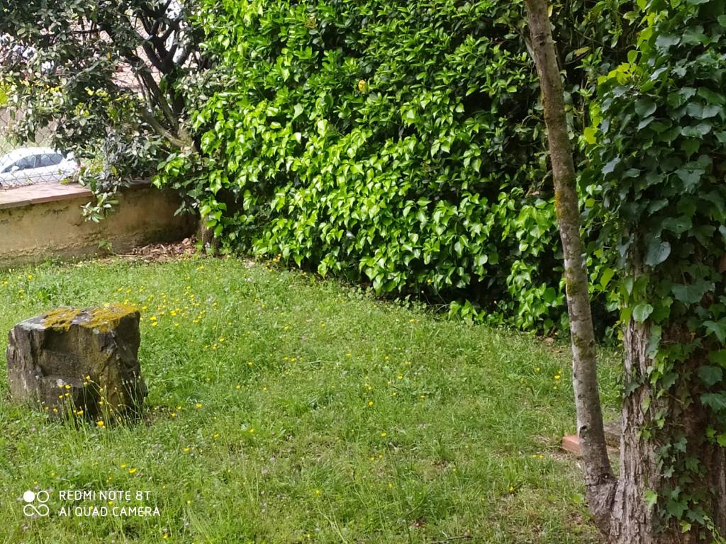 Vonkajšia záhrada v ubytovaní Chalet Entre Parques Naturales