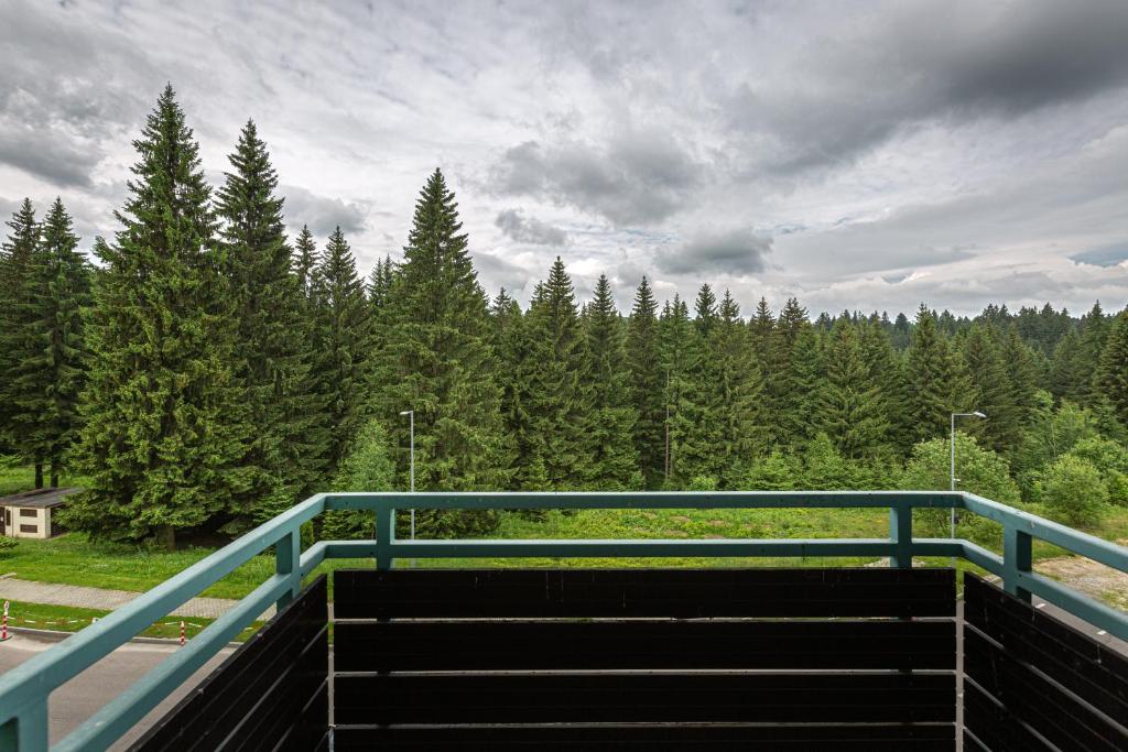 una escalera con una barandilla azul en un puente en Cold Mountain Apartment in Silver Mountain Resort en Poiana Brasov