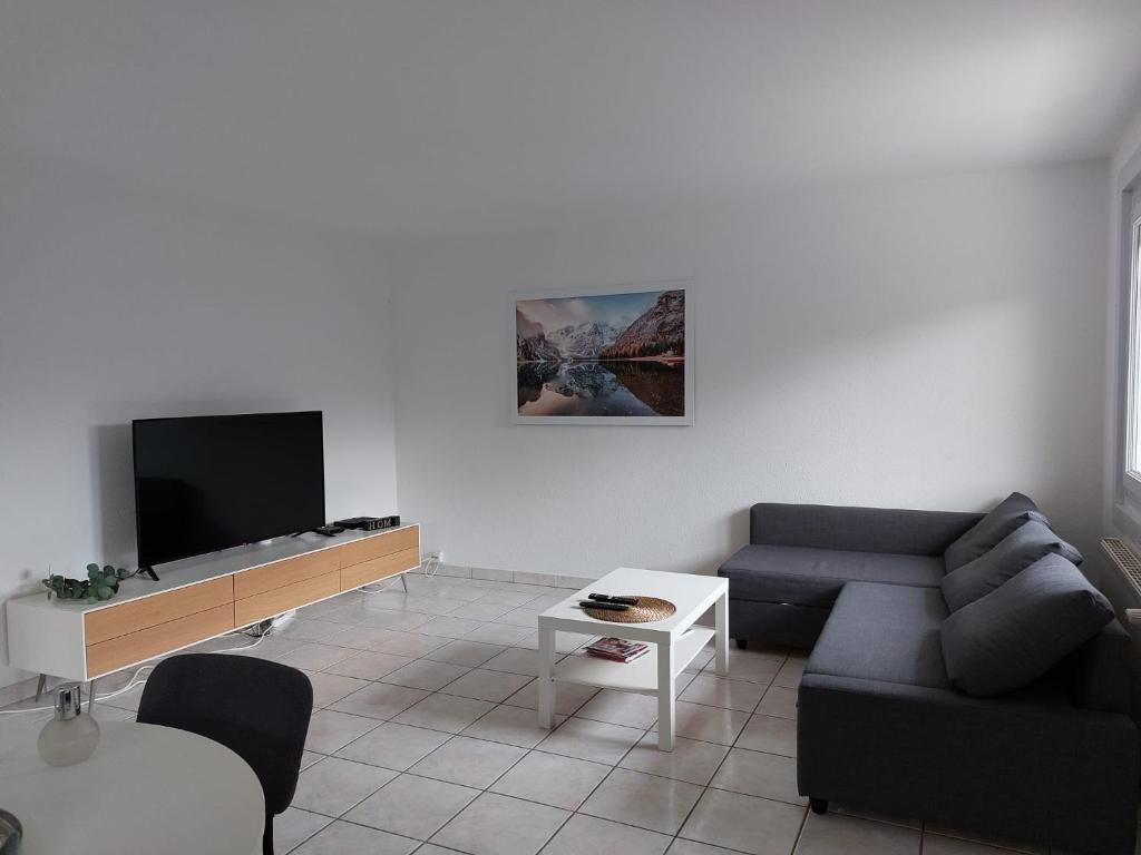 TV a/nebo společenská místnost v ubytování Charmant appartement au rez de jardin d'une maison