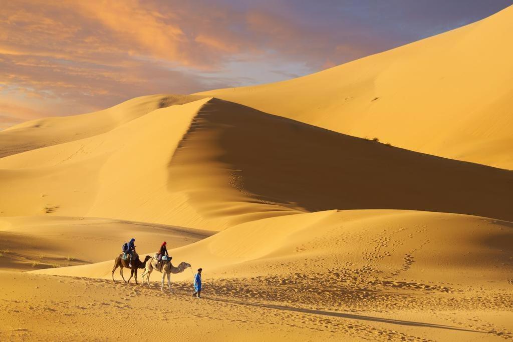 Hosté ubytování Camp Sahara Majestic