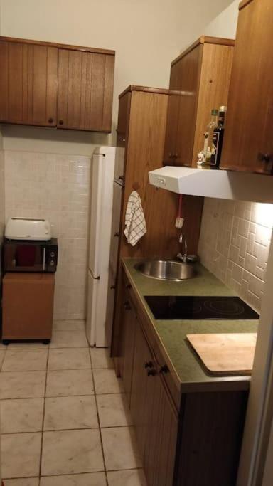 Kuchyňa alebo kuchynka v ubytovaní AIRAM Apartment CENTER BUDAPEST 120m2