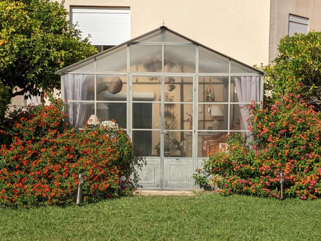 Zahrada ubytování "MAS TRAMONTANE "chambres d'hôtes et studio avec piscine dans parc arboré