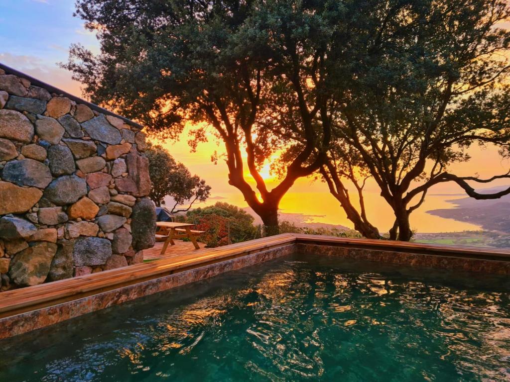 - une piscine avec un mur en pierre et des arbres dans l'établissement A VIGNA - CASEDDU PETRU GHJASEPPU vue mer et piscine, à Viggianello