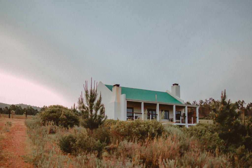 a house with a green roof in a field at Blue Crane Farm Lodge in Botrivier