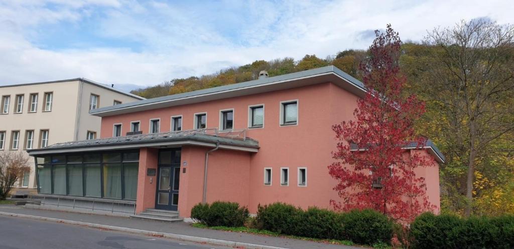 um edifício cor-de-rosa ao lado de uma rua em Ferienwohnung Am Rimbach em Suhl