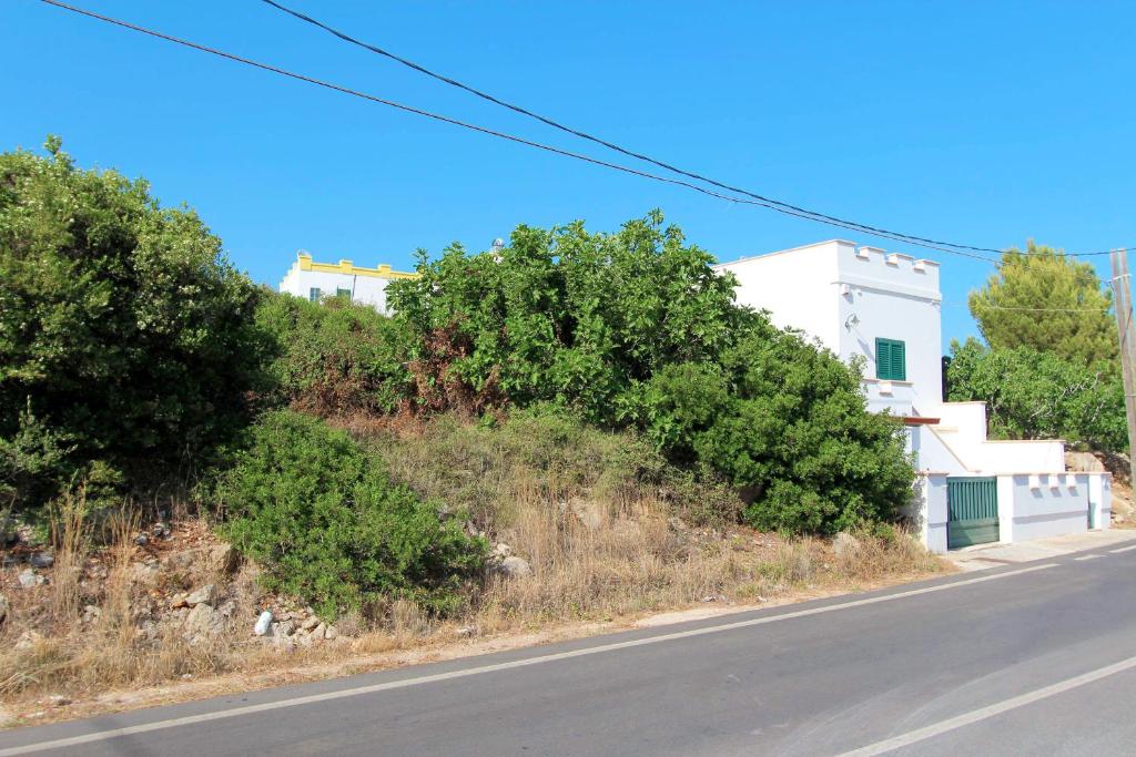 eine leere Straße mit Bäumen an der Seite eines Hügels in der Unterkunft Villa Lata in Marina San Gregorio