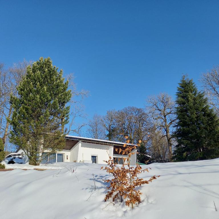 a house in a snow covered yard with trees at adBs Ferienhaus in Winterberg