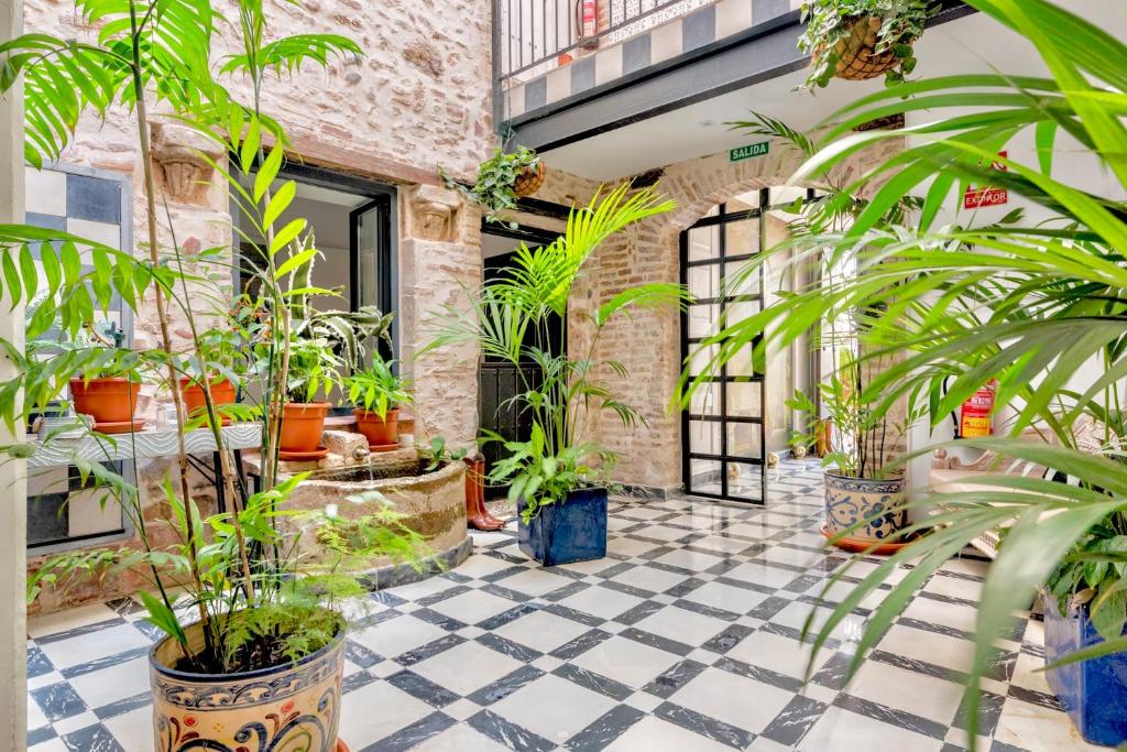 cortile con piante in vaso su un pavimento a scacchi di Dreams of Marbella a Marbella
