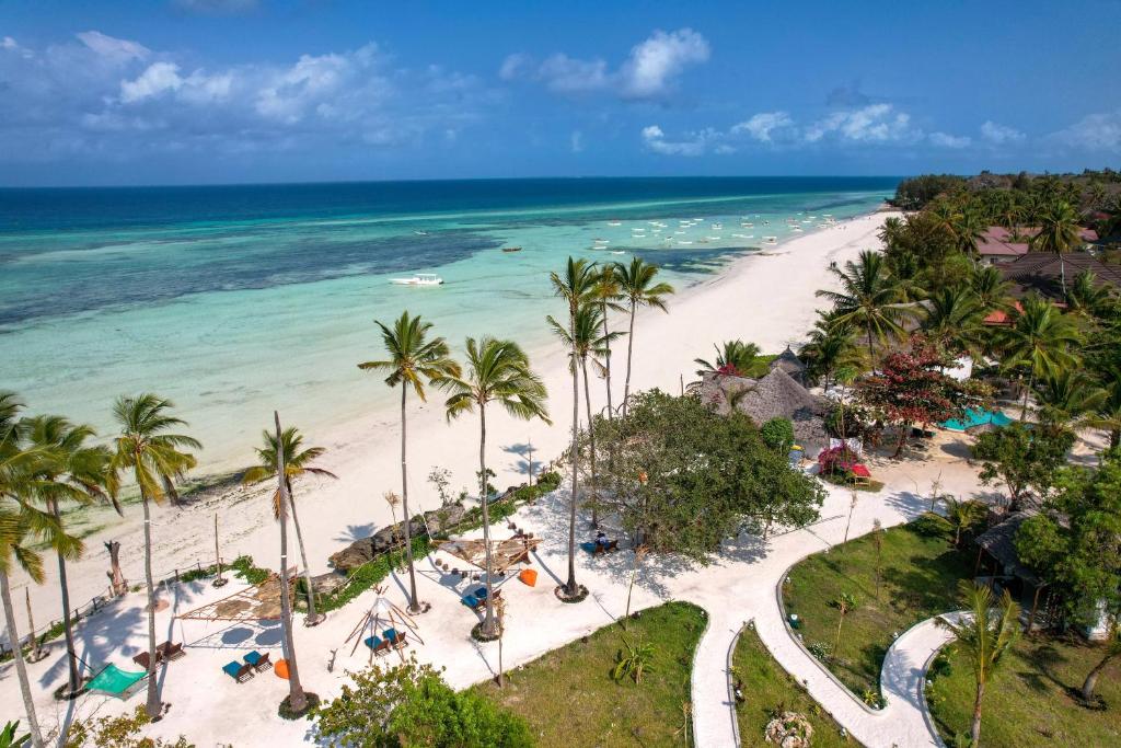 uma vista aérea de uma praia com palmeiras e do oceano em Aya Beach Resort em Kizimkazi