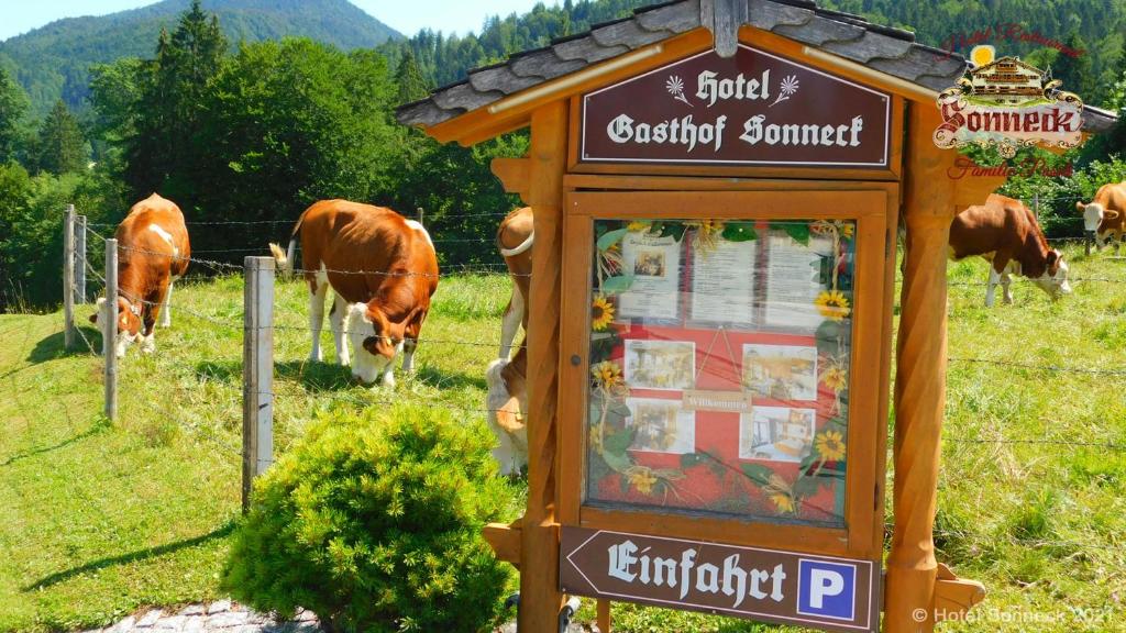 Certifikát, hodnocení, plakát nebo jiný dokument vystavený v ubytování Hotel-Gasthof-Sonneck