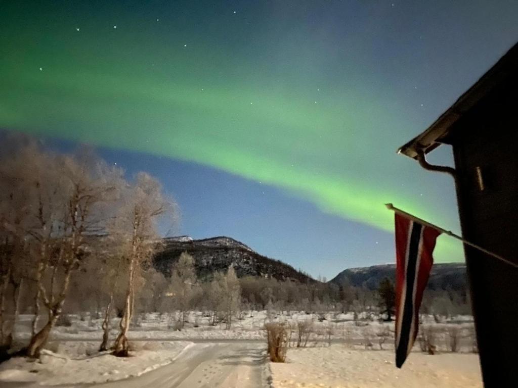 an aurora in the sky with a flag in the snow at Elvestua in Gibostad