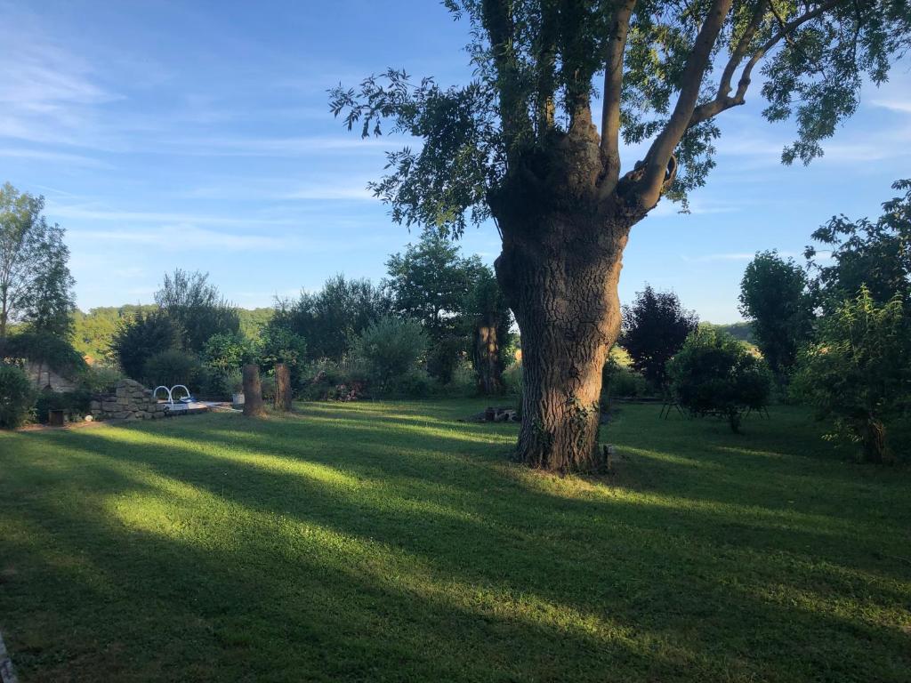 ein Baum inmitten eines Grasfeldes in der Unterkunft Le Domaine du Moulin Foulon in Essay