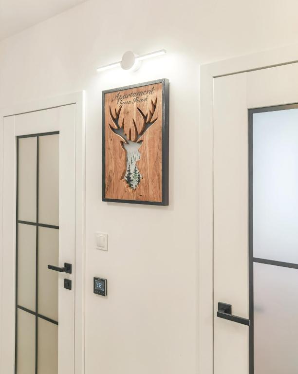 Zdjęcie z galerii obiektu Apartament Green Forest w mieście Duszniki Zdrój