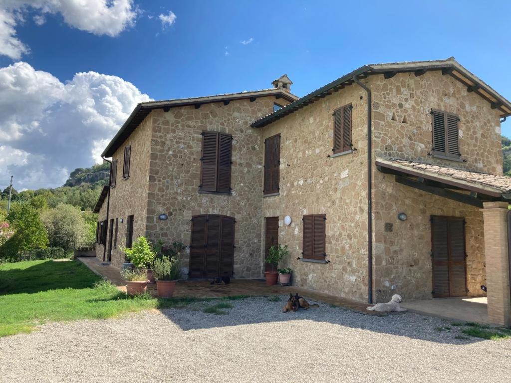 ein Steinhaus mit zwei Hunden davor in der Unterkunft Casale Riorso in Orvieto