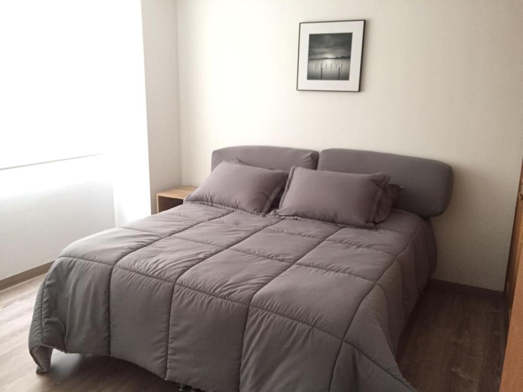 1 cama con 2 almohadas en una habitación en Macondo-Habitación zona céntrica, en pleno corazón, en Bogotá