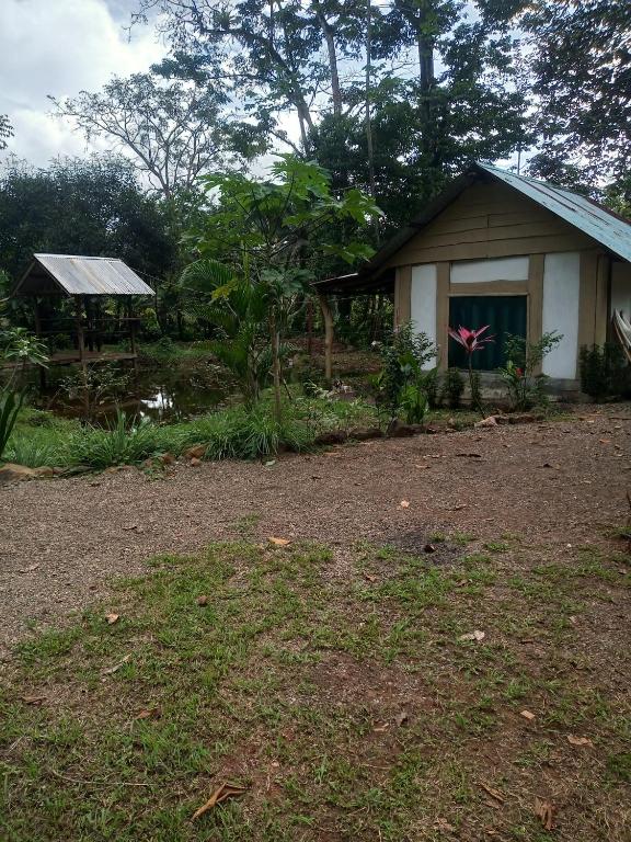 Cabinas Casa jungla