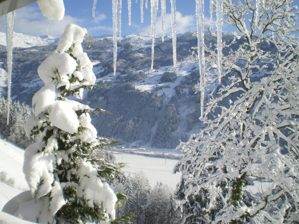 Neurauthof v zime