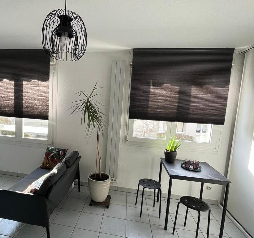 ein Wohnzimmer mit einem Sofa und einem Tisch in der Unterkunft ZEN-ITUDE in Straßburg