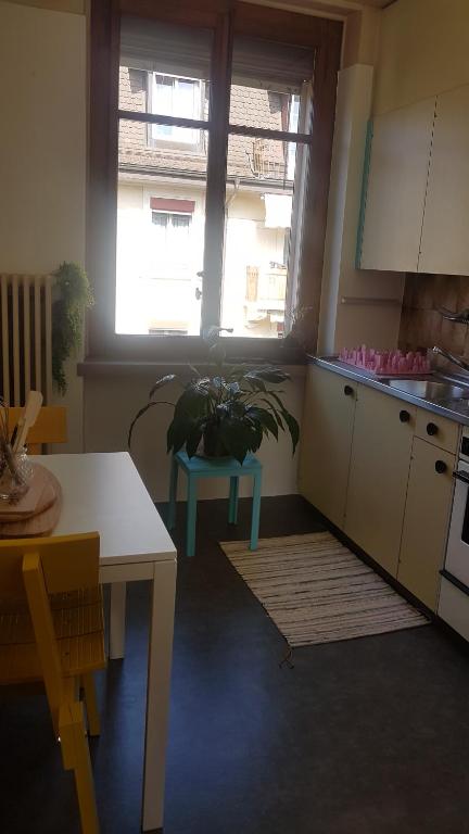 una cucina con tavolo e pianta in vaso di Beauregard-Sous-Gare a Losanna
