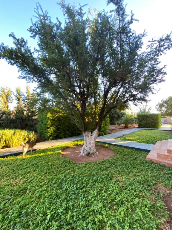Un jardín fuera de Riad les trois merveilles