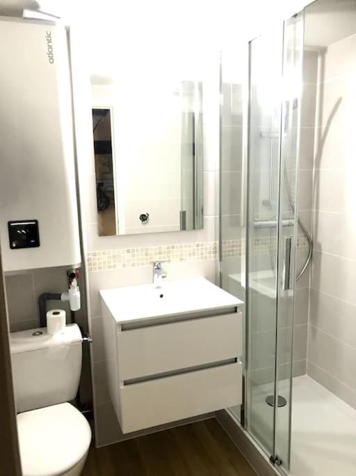 Kúpeľňa v ubytovaní Appartement dans le Vieux Mans