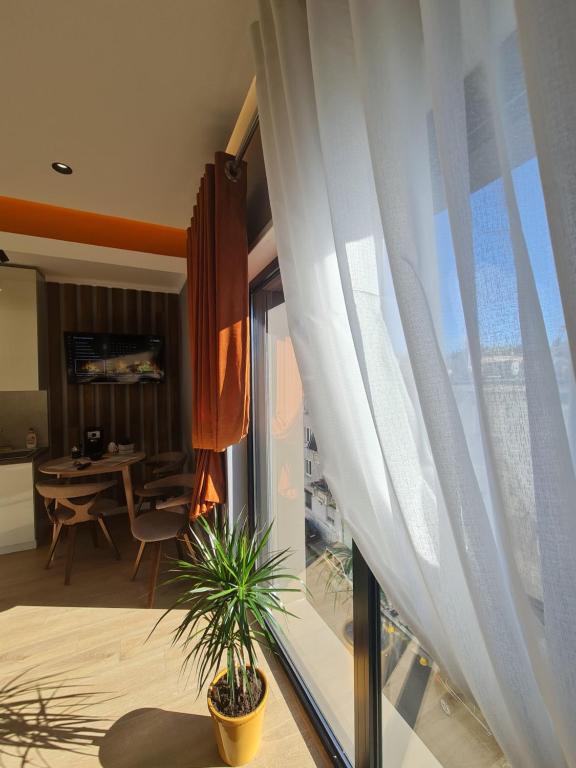 Istumisnurk majutusasutuses Sunny Apartment - Blloku Tirana, near Lake