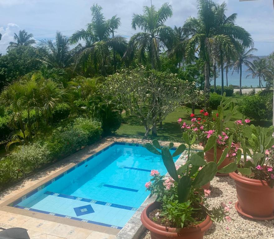 Casa de las Flores tropical内部或周边的泳池