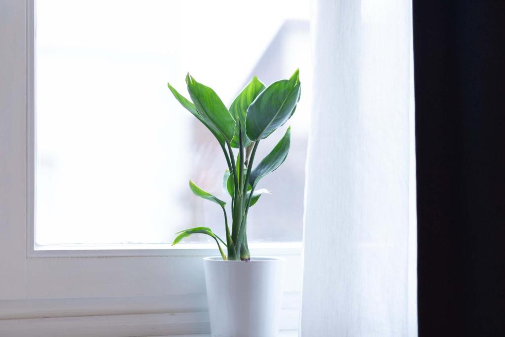 Fotografie z fotogalerie ubytování Apartment 54 - Ferienwohnung Bad Arolsen v destinaci Bad Arolsen
