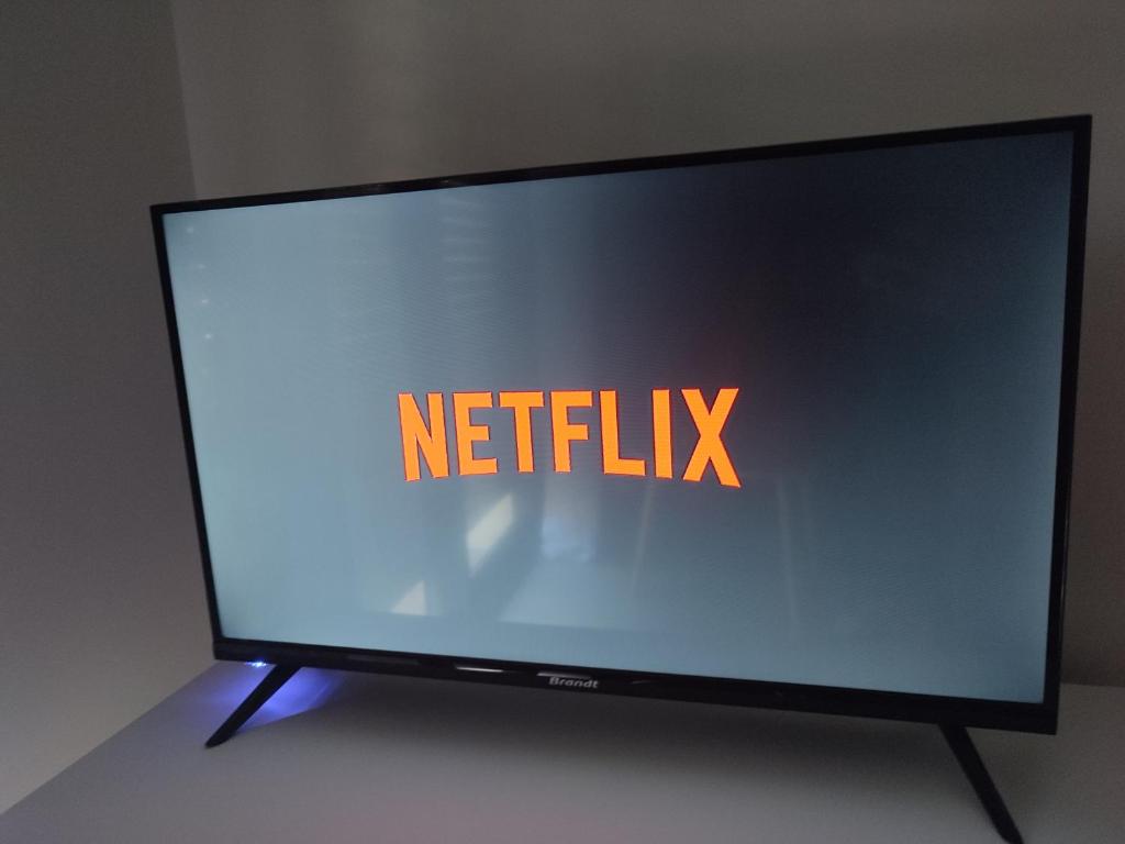 Televízia a/alebo spoločenská miestnosť v ubytovaní Le Villarois