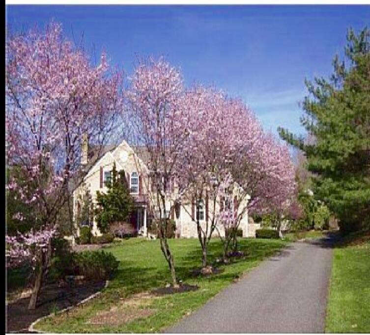 ein Haus mit rosa blühenden Bäumen vor einer Einfahrt in der Unterkunft Luxury Vacation Estate in Pottstown