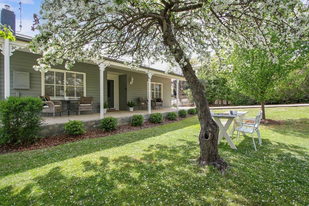 a house with a table and a tree in the yard at Bright 29 in Bright