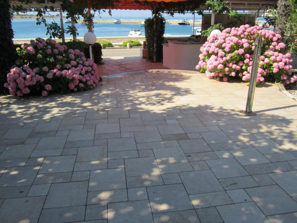 Zahrada ubytování Guesthouse Punta Mira - Beachfront