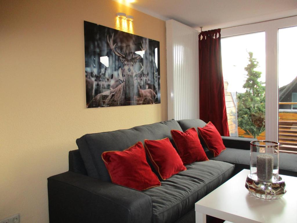 a living room with a gray couch with red pillows at Chalet Platzhirsch in Braunlage
