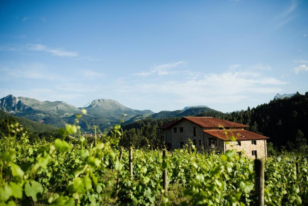 an old building in a vineyard with mountains in the background at Apartamentos Baolafuente in Rasines