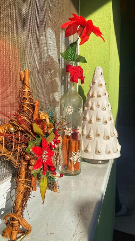 Fotografie z fotogalerie ubytování Rustic Rooms v destinaci Ţopa