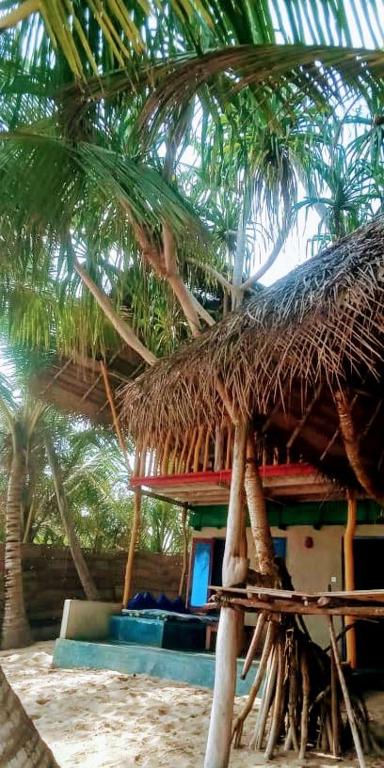 The Alpha Monkey hotel & Tree house - 3