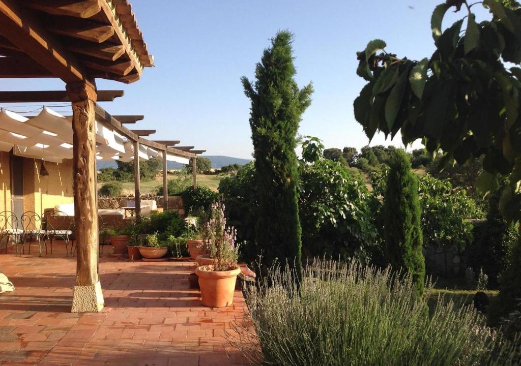 un patio con un mucchio di piante e alberi in vaso di La Casa Rota Arahuetes a Arahuetes