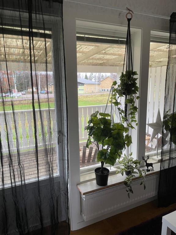 Zahrada ubytování Lövåsen