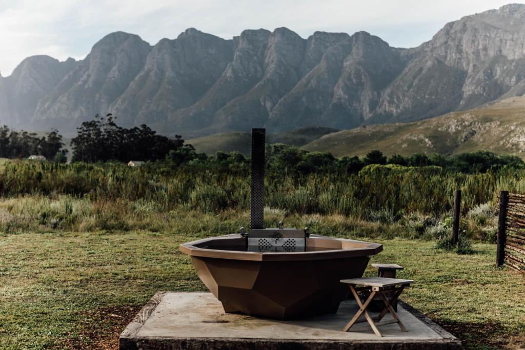 a bath tub sitting in a field with mountains in the background at Bokrivier Cottages in Greyton