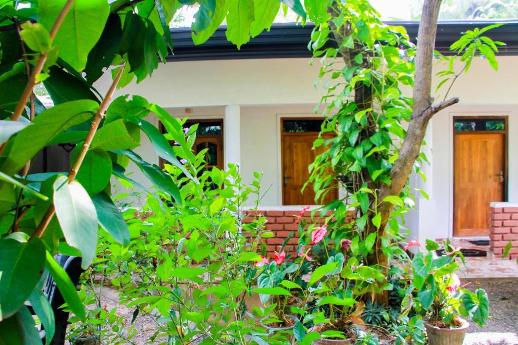 Zahrada ubytování Galaxy View Homestay Sigiriya