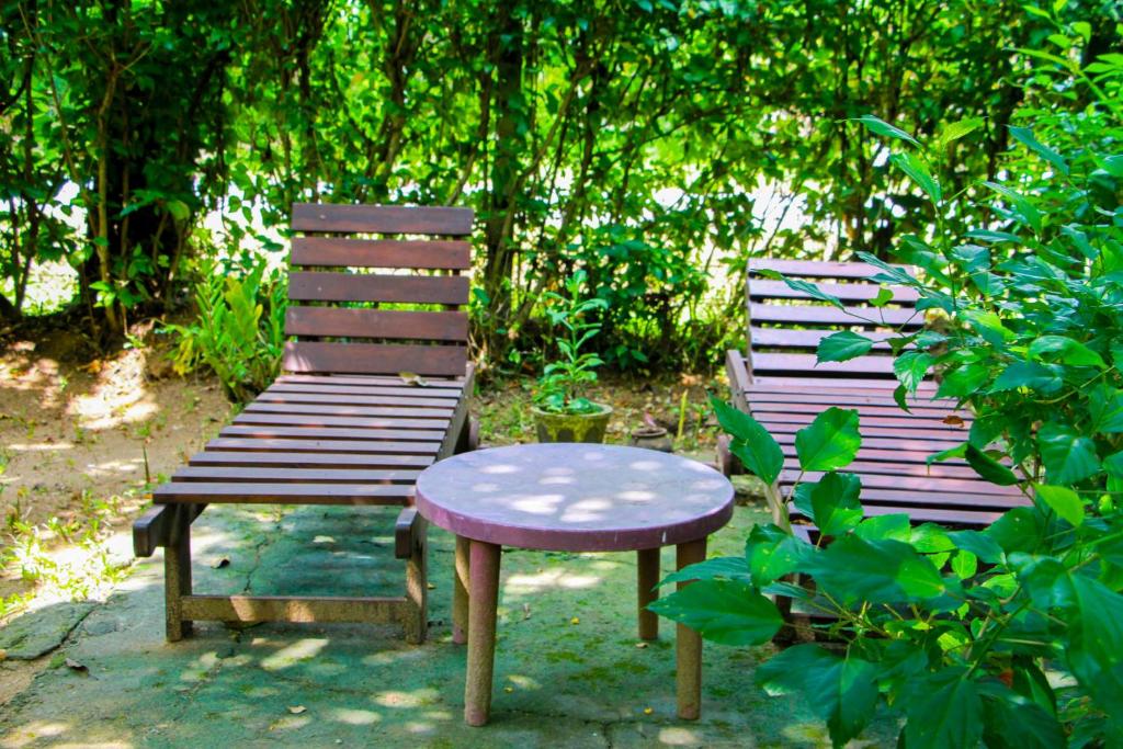 Galaxy View Homestay Sigiriya - 17