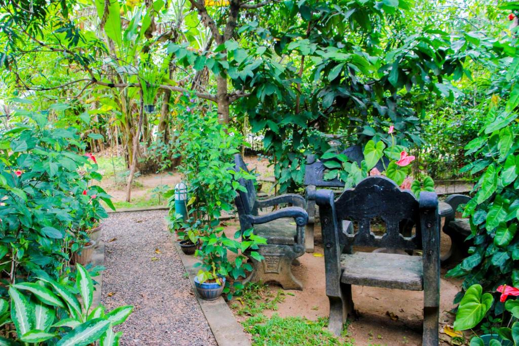 Galaxy View Homestay Sigiriya - 8