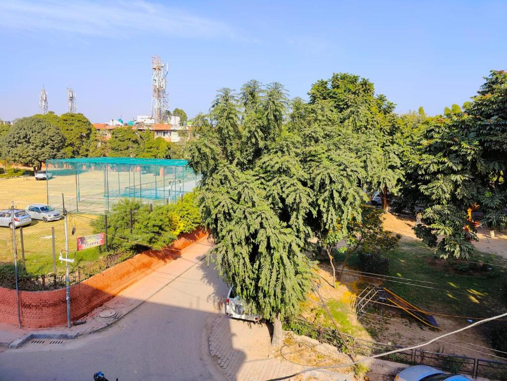 an overhead view of a park with a large tree at Chandigarh home in Chandīgarh