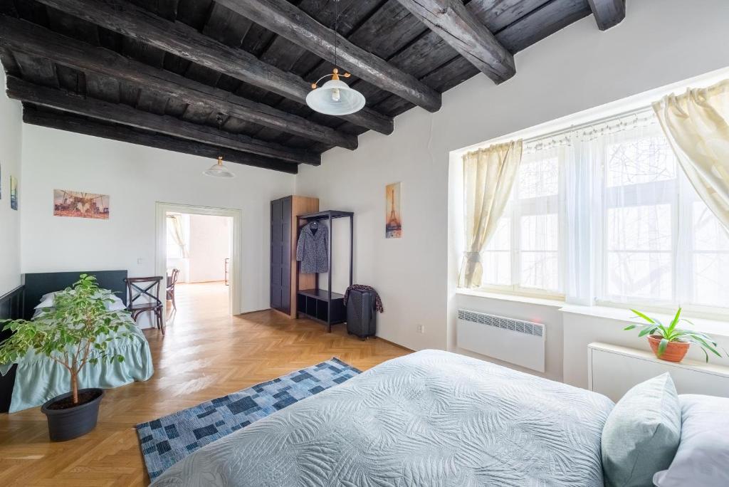 St. George Apartments - One-Bedroom Apartment