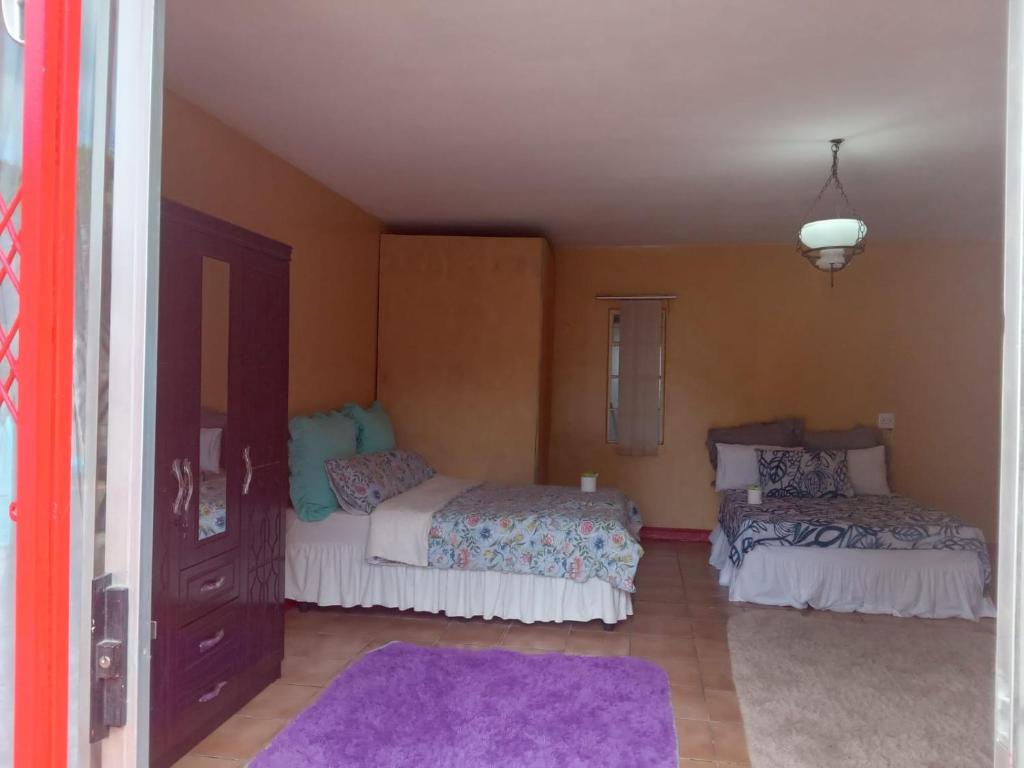 a bedroom with two beds and a purple rug at FARANAS in Pietermaritzburg