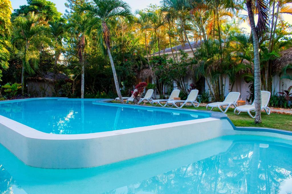 a swimming pool with chairs and palm trees at Hotel La Tortuga in Las Terrenas