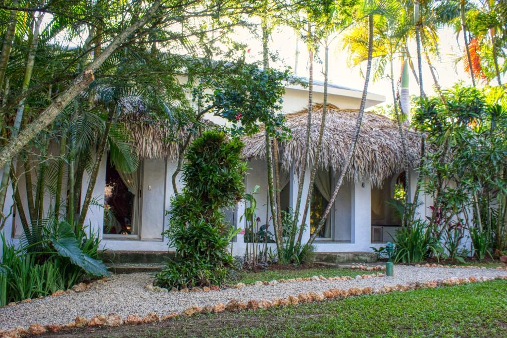 Un jardín fuera de Hotel La Tortuga